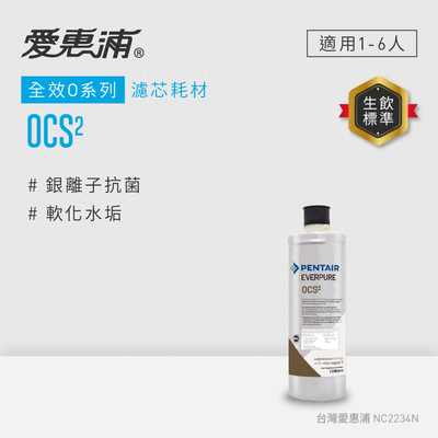 【EVERPURE 愛惠浦】OCS2活性碳濾芯(DIY更換)