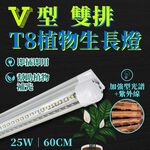【君沛】UVA加強光譜 V型雙排 2呎T8一體式 25W 誘導上色 抑制徒長 多肉 龍舌蘭控型 桌上補光, , large