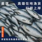 【全國麗園】虱目鮮魚丸300g 嚴選高雄虱目魚 綿密鮮甜 海味原力 熟食 即食料理 冷凍調理包 冷凍料理包 冷凍食品, , large