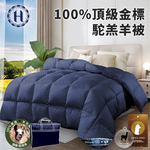 【Hilton 希爾頓】100%頂級金標駝羔羊被2.5公斤(B0884-N25), , large