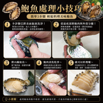 小川漁屋 極品南非活凍帶殼鮑魚1包（500g/包/約6~8粒&plusmn;10%）_任選, , large