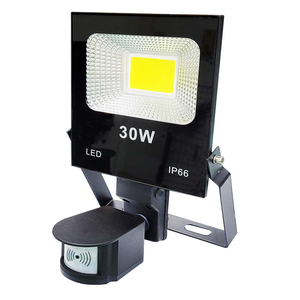 HC-830A 30W Outdoor Microwave Induction Floodlight (White Light - Made in Taiwan)an)