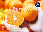 [馥果FruitGo]澳洲 少籽茂谷柑, , large