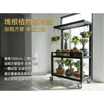 【 SHAONIANNA.TW 】塊根植物架｜加粗方管鐵製一體成型｜菱格網植物架・花架｜工業風消光黑展示鐵架, , large