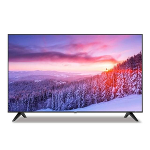 【SAMPO 聲寶】50型4K QLED量子點 Google聯網顯示器 QM-50SF620