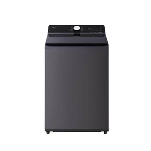 【LG 樂金】20公斤 AI DD 蒸氣直驅變頻洗衣機 夜墨灰 WT-TD20HG