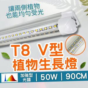 【君沛】V型雙排 50W 高功率 3呎 T8一體式植物燈 加強型光譜 抑制徒長 龍舌蘭 塊根 多肉控型 層架補光 免燈座