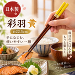 【HIYASU日安工坊】日本工藝箸-彩羽 黃, , large