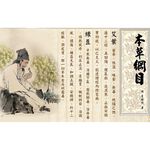 LASSLEY【雙面材質】天然亞藤艾草綠豆殼枕頭 ( 純棉 舒眠 透氣 防蚊 驅蟲 頸部支撐 枕頭 綠豆枕 台灣製造 ), , large
