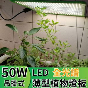 【君沛植物燈】LED植物燈 LED50W薄型植物燈板 50瓦吊掛式植物燈 仿日照陽光植物燈全光譜 高演色性生物舒適光