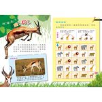[小牛頓]PLAY&LEARN：草原冒險 適合5-8歲 平裝全彩 高階遊戲書, , large
