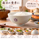 【HIYASU日安工坊】中平碗  B(1), , large