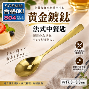 【HIYASU日安工坊】黃金鍍鈦法式中餐匙