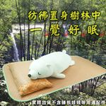 LASSLEY 天然亞藤草童蓆(涼蓆 草蓆 藤蓆 兒童 小孩 睡蓆 睡墊 床墊 涼墊 夏天鋪床 台灣製造), , large