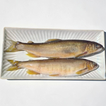 【一夫水產】抱卵母香魚, , large