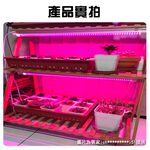 【君沛】紅藍光譜 4呎 T8植物燈管 25W 育苗專用 抑制徒長 鹿角蕨孢子苗 玫瑰補光 發根強化 大型層架專業生長燈, , large