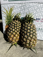 [芯鮮果]台灣嚴選( 金鑽鳳梨 ), , large