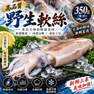 【吾家有貓-海鮮屋 】高品質野生軟絲 /鮮甜脆爽