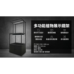 【 SHAONIANNA.TW 】創意塊根植物鐵架（搭配實用收納櫃，完美收納與展示）, , large