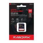 SanDisk SD card, , large