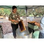 [皇廷] Wildflower honey 500g, , large