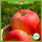 預購免運★產季新摘｜6月上旬出貨【一起買】紐西蘭Organic Fuji 有機富士蘋果, , large
