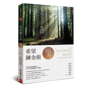 (回頭書優惠價) 希望鍊金術：焦點解決取向在校園輔導的應用