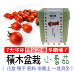 iPlant, , large