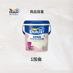 Paint, , large
