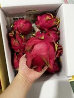 [芯鮮果]台灣嚴選( 紅龍果 ), , large