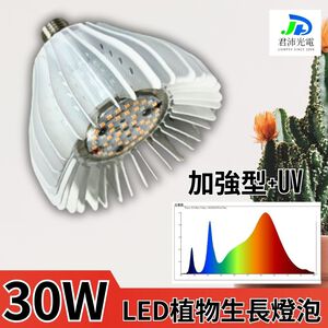 【君沛】UV加強型光譜 30W極強光壓 植物燈泡 E27 誘導顯色 抑制徒長 多肉上色 龍舌蘭 塊根控型