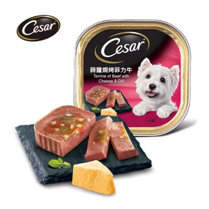 【拉拉寵物小舖】Cesar 西莎 狗餐盒 挑嘴狗最愛 精緻餐盒 犬用 狗罐頭 狗罐 西沙 狗食 狗糧 濕糧
