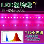 【君沛】730全光譜 2呎 T8一體式植物燈 12.5W 免燈座 抑制徒長 多肉育苗 觀葉植物櫃層架補光 自然光感, , large