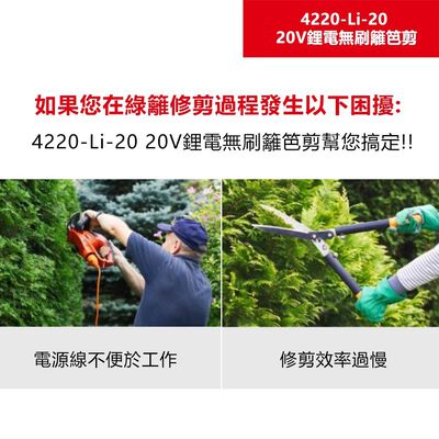 WIN五金 DEVON 大有 4220-Li-20 20V 充電無刷籬笆剪 修枝 園藝 刀片 55cm