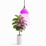 【君沛】LED植物燈 40W E27燈泡 吊掛式紅藍混光 塊根龍舌蘭生長燈 鹿角蕨龜背芋室內補光, , large