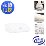 [百鈴]雪尼爾超乾爽舒適巾S號方巾-白色-12條(吸水巾/擦巾/抹布/擦手巾/超細纖維/雪尼爾), , large