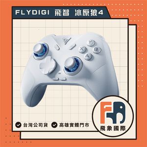 【現貨】FLYDIGI 飛智 冰原狼4 Direwolf 4 遊戲手把｜支援PC/Switch/手機｜原廠保固 飛象國際
