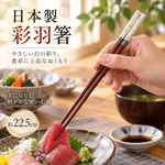 【HIYASU日安工坊】日本工藝箸-彩羽 白, , large