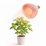 【君沛】UV加強型光譜 30W極強光壓 植物燈泡 E27 誘導顯色 抑制徒長 多肉上色 龍舌蘭 塊根控型, , large