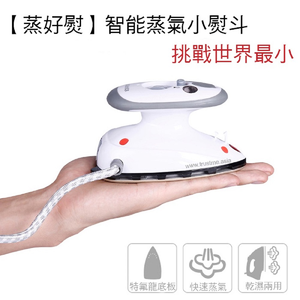 Mini steam iron