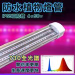 【君沛】防水 4呎 50W 植物燈 730全光譜 三防燈 LED植物生長燈 溫室 植物工廠 陽台補光 開花誘導, , large
