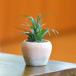 【YU Living】人造陶盆植物 仿真植物盆栽, , large