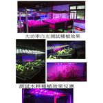 【君沛植物燈】LED植物燈 泛光型 100瓦 紅藍光 莖葉類植物 植物生長燈 防水 660nm紅光 明緯電源供應器 臺製, , large