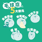 【IN-Plus】貓草高纖排毛粉 順暢舒壓配方1gx18包(全齡貓/貓保健品/化毛粉), , large