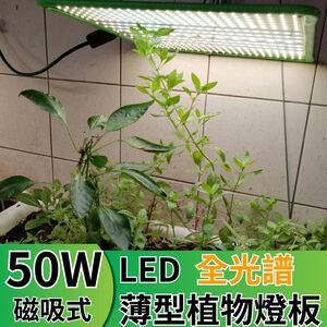 【君沛植物燈】LED植物燈 LED50W薄型植物燈板 50W 磁吸式植物燈 仿日照陽光 植物燈全光譜 高演色性生物舒適光
