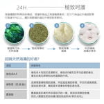 【KIKY】赫本海藻紗纖維高回彈獨立筒床墊, , large