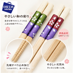 【HIYASU日安工坊】日式工藝箸-四色彩花, , large