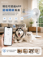 【手機一鍵開風！WiFi智慧立扇全面進化】智慧生活黑科技 AIRMATE 艾美特14吋DC直流馬達智慧節能遙控立地電扇FS35116RI 32段風速 &times; 智能感溫 &times; DC省電 &times; 遠端操控, , large