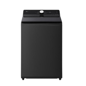 【LG 樂金】16公斤蒸氣直驅變頻直立洗衣機 WT-TD16HG 夜墨灰加贈LINE九陽恆溫暖杯墊