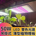 【君沛植物燈】LED植物燈 LED50W薄型植物燈板 50瓦吊掛式植物燈 雙色光譜設計 有助於提高栽培效率和作物質量, , large